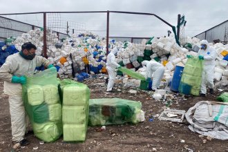 Clausura definitiva y multa millonaria para centro clandestino de envases de fitosanitarios