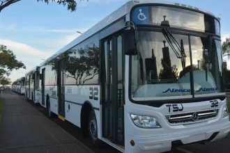 Firma de Misiones brindará el servicio de transporte urbano en ciudad entrerriana: qué pasará con los choferes