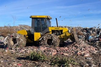Decomisan y entierran 8 toneladas de pescado sin documentación sanitaria