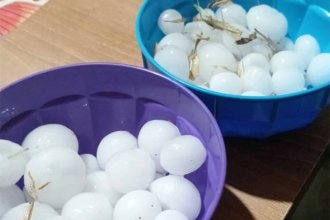 Cayó granizo en una zona fuera del alerta meteorológico y sorprendió a los vecinos