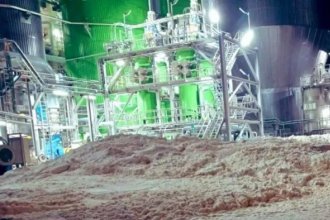 UPM pagará 230 mil dólares por derramar 6000 litros de ácido sulfúrico al río Uruguay