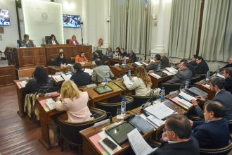 “Herramienta de colonización ideológica”: senadores justicialistas manifestaron preocupación por el futuro de la UADER