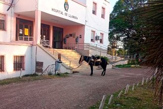 Hizo casi 20 kilómetros a caballo para sumarse a una jornada de donación de sangre