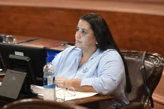 Tras presentaciones de algunas instituciones, diputada oficialista ponderó el trabajo del Instituto Provincial de Discapacidad