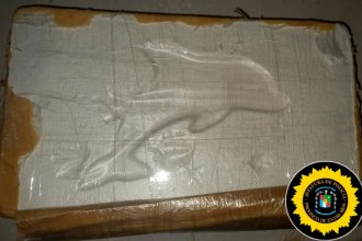 Nuevamente hallaron cocaína con el logo del delfín durante allanamientos en Entre Ríos