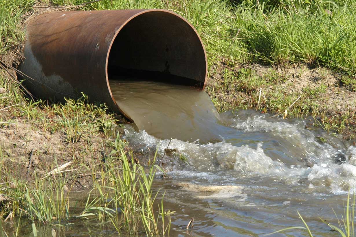 Las Plantas mejorarán lo que llegue al río