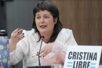 “Ahora la Patria”, la lista que encabeza Gaillard y dice ser “una alternativa al peronismo tradicional”