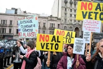 Juez federal declaró la inconstitucionalidad del veto de Milei a la ley de Emergencia en Discapacidad