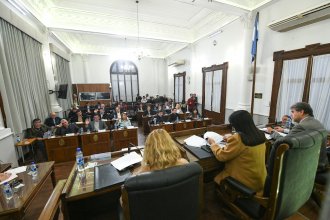 Es ley el proyecto de fomento a la producción y autoconsumo de biocombustibles: ¿Qué contempla la nueva norma?