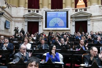 Emergencia en Discapacidad. Cómo votaron los diputados de Entre Ríos en la sesión donde se rechazó el veto