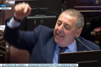Los senadores entrerrianos y el financiamiento universitario: dos votaron a favor y uno optó por ausentarse