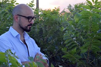 Produce 80 mil plantas anuales el vivero en La Criolla que provee a Abel Pintos, el “embajador del pecán”