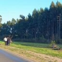 Amputaron parcialmente a joven que protagonizó un accidente