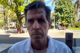 Golpearon en el rostro al jefe de veterinaria municipal, en un operativo por caballos sueltos en la vía pública