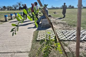 Día del Árbol: plantaron casi 120 especies nativas en ciudades de la provincia