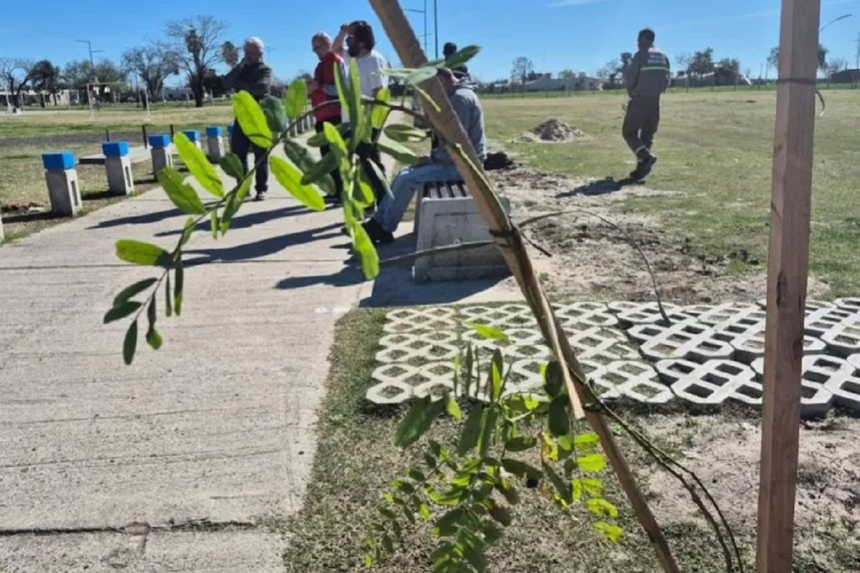 Plantación de árboles en Gualeguaychú.