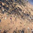 Club de remeros y pescadores suspenden actividades por presencia de materia fecal en el río Uruguay