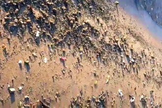Club de remeros y pescadores suspenden actividades por presencia de materia fecal en el río Uruguay