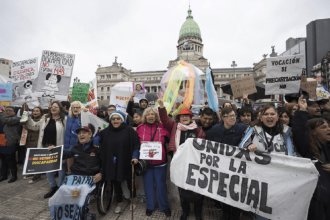 Senadores dejaron sin efecto el veto de Milei y reactivaron la Emergencia en Discapacidad