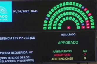 Rechazo al veto en Discapacidad: inusual coincidencia en el voto de los tres senadores por Entre Ríos