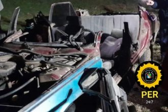 Embistió un animal suelto sobre la ruta y quedó atrapado dentro del vehículo