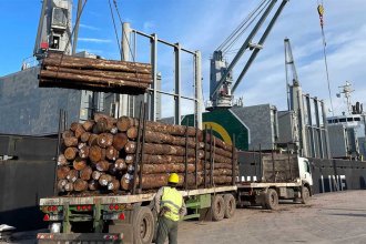 Pino para la India. Zarpó ultramarino desde “La Histórica” con 20.800 toneladas. 700 camiones descargaron en zona portuaria
