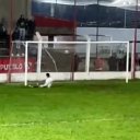 Da la vuelta al mundo el gol errado en Entre Ríos: "No tiene ningún sentido"