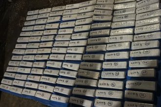 Detuvieron a un empleado municipal con casi 80 kilos de marihuana en una pensión