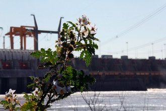 Con la firma de Frigerio y Rodríguez Signes, Entre Ríos ratificó su demanda ante Nación por los excedentes de Salto Grande