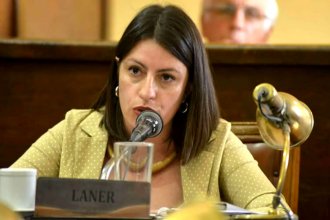 Tras las críticas a Frigerio, Laner dijo que Benítez “representa las prácticas corruptas del kirchnerismo”