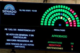 Por amplia mayoría, el Senado rechazó el veto al reparto de ATN a las provincias