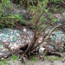 Publican imágenes “desoladoras” de la contaminación en arroyos entrerrianos. Crean Comité para sanearlos