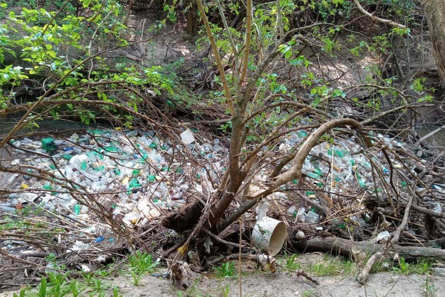 El agua, tapada por la basura