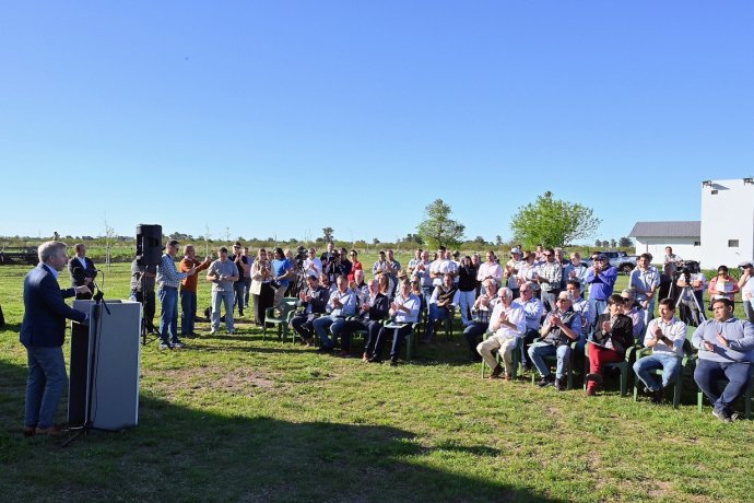 El sector arrocero tendrá un 65% de subsidio en la tarifa eléctrica, informaron desde Provincia