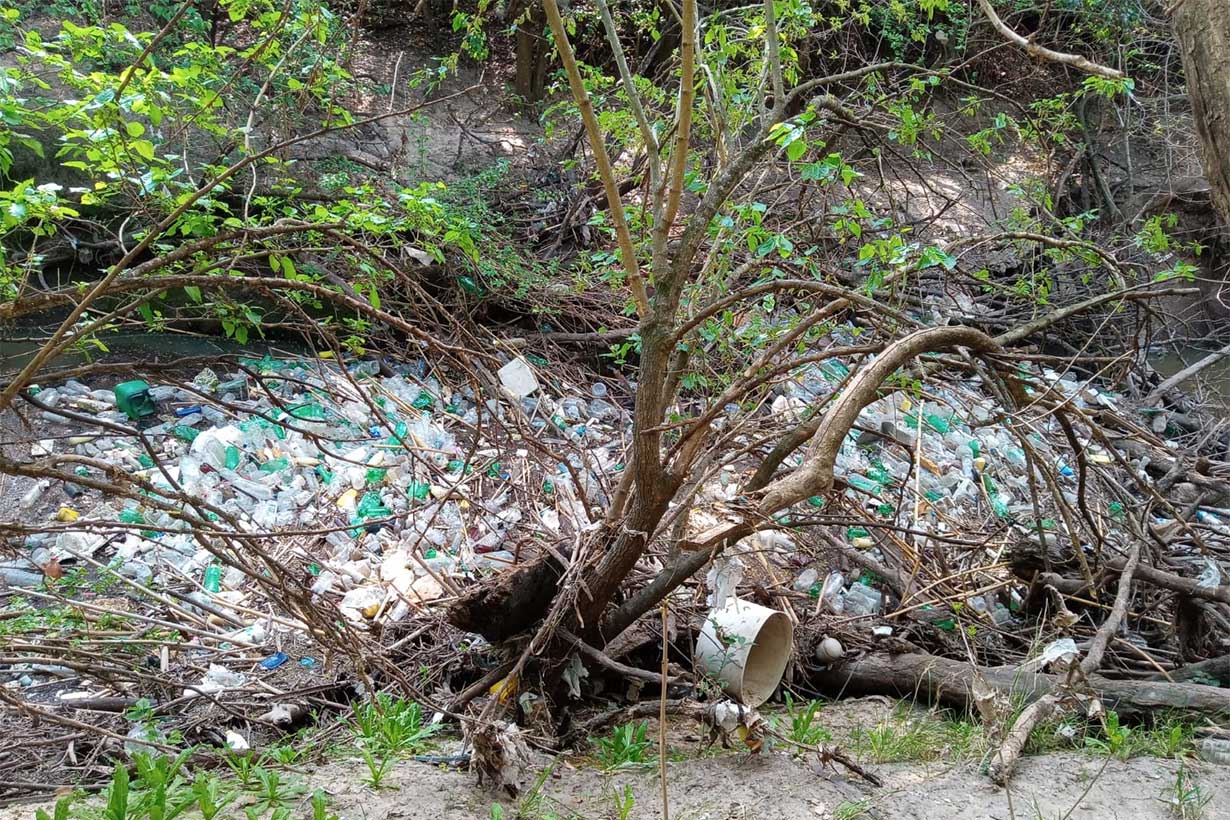 El agua, tapada por la basura