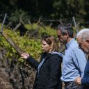 “En diciembre de 2023 pagaban la luz con 100 botellas de vino, hoy necesitan 300”. Desde una bodega, Michel apuntó a Milei y Frigerio