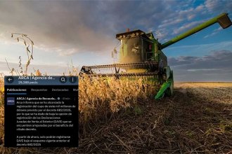 Se llegó a los US$ 7000 millones liquidados y vuelven las retenciones. “La vemos pasar”, lamentan pequeños productores
