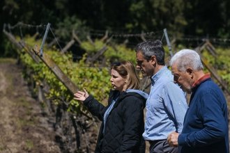“En diciembre de 2023 pagaban la luz con 100 botellas de vino, hoy necesitan 300”. Desde una bodega, Michel apuntó a Milei y Frigerio