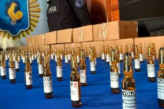 Secuestraron 200 ampollas de fentanilo que eran trasladadas por el río Paraná