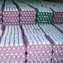 Decomisaron 36 mil huevos que eran transportados sin la documentación correspondiente