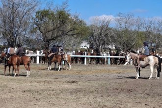 Sin acreditar la existencia de maltrato ni crueldad, juez rechazó amparo que buscaba prohibir jineteadas
