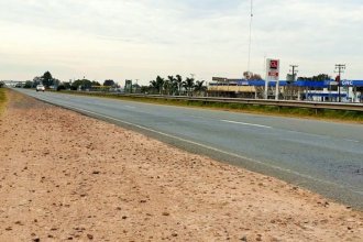 Automovilista chocó contra animal suelto y fue hospitalizado