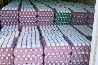 Decomisaron 36 mil huevos que eran transportados sin la documentación correspondiente