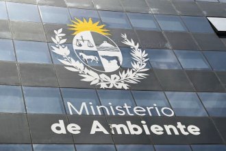 “Es insuficiente para un proyecto de tal magnitud”: pedido formal para que se extienda el plazo de la consulta pública por la refinería