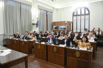 Respaldo de Senadores al pedido de relocalización: “Lejos de Colón” para evitar “efectos nocivos en una zona compartida”