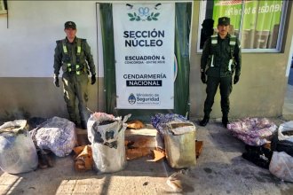 Siguieron una encomienda desde Concordia y desbarataron conexión narco entre Misiones y Buenos Aires