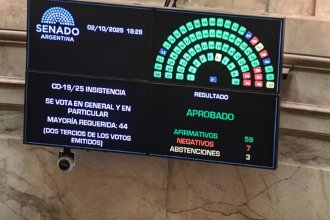 Nueva derrota política de Milei en el Congreso: cómo votaron los senadores entrerrianos