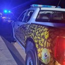 Animal suelto que se atravesó en la ruta ocasionó un accidente a un camión