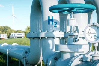 Más tiempo para expresar opiniones sobre el proyecto de HIF Global. El Ministerio de Ambiente extendió el plazo de la consulta