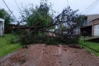 La tormenta causó destrozos en Concepción del Uruguay: ayudan a familias afectadas